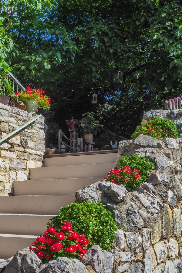 מונודנדרי Vikos Hotel מראה חיצוני תמונה