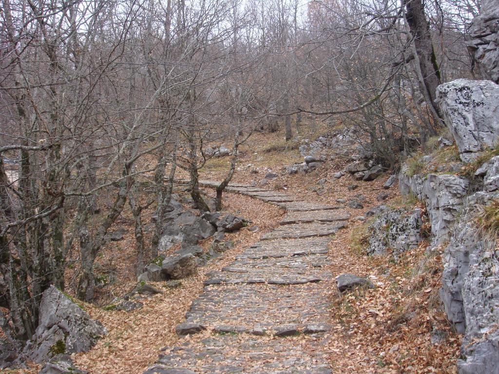 מונודנדרי Vikos Hotel מראה חיצוני תמונה
