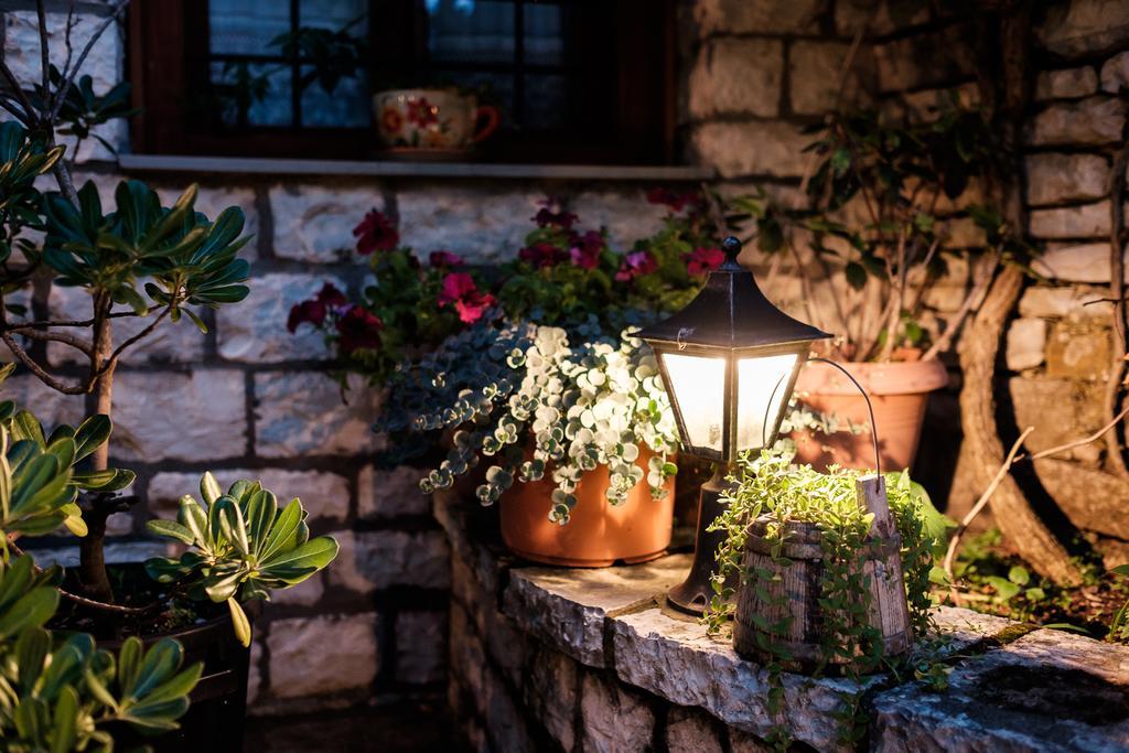 מונודנדרי Vikos Hotel מראה חיצוני תמונה